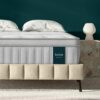 leesa oasis chill boise mattress