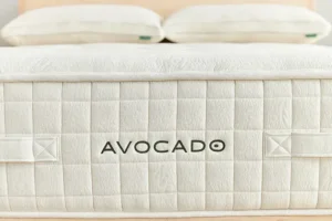 Avocado Luxury Medium