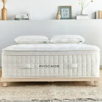 Avocado Luxury Plush