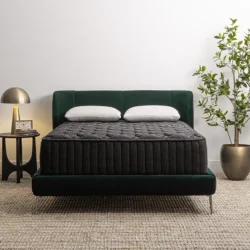 Lewis Luxe Medium