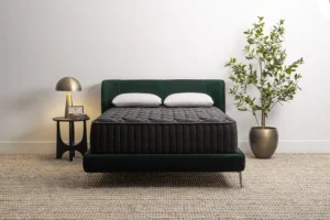 Lewis Luxe Medium