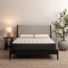 Adams Comfort Medium