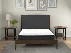 American Bedding 9" Medium Euro