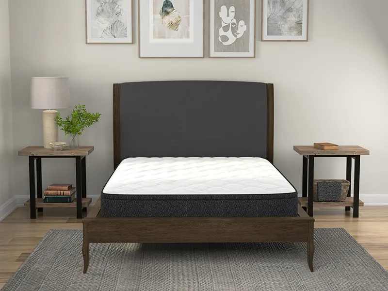 American Bedding 9" Medium Euro