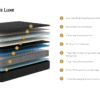 Lewis Luxe Medium